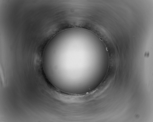 X0000102870040200808181516