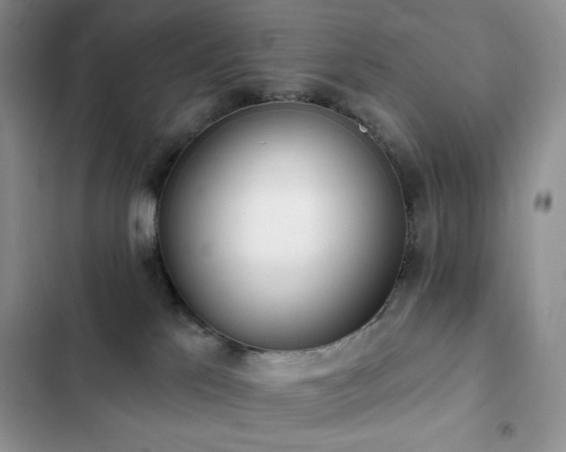 X0000102870041200808181516