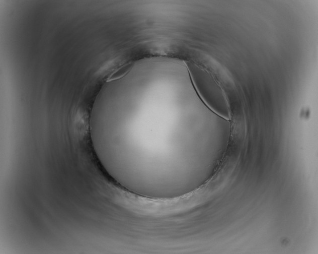 X0000102870043200808181516