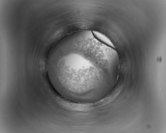 X0000102870044200808181516
