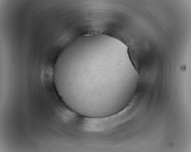 X0000102870045200808181516