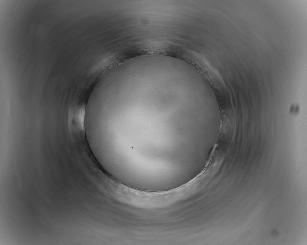 X0000102870047200808181516