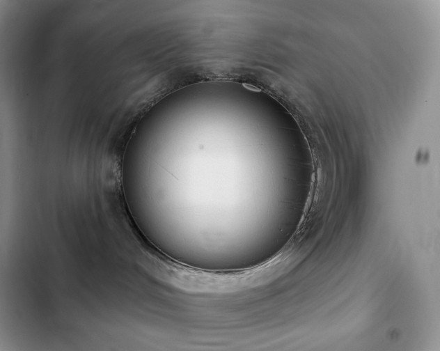X0000102870048200808181516
