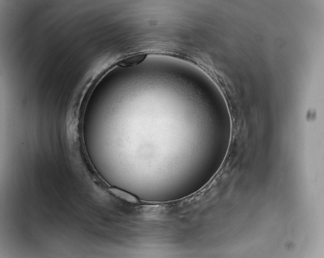 X0000102870050200808181515