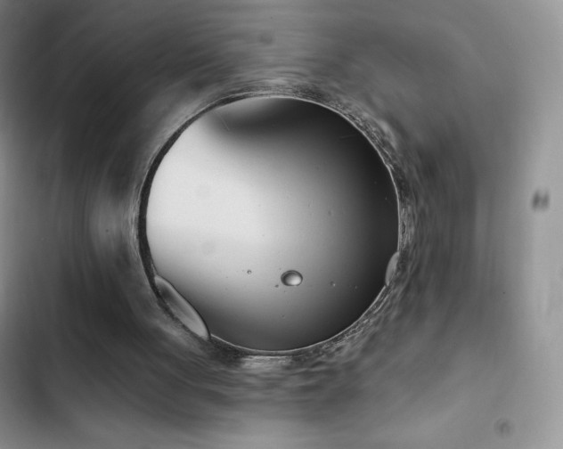 X0000102870051200808181515