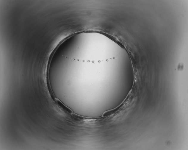 X0000102870052200808181515