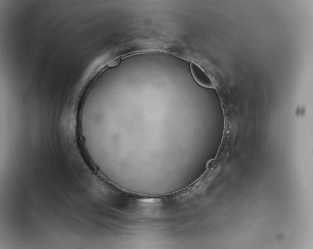 X0000102870053200808181515