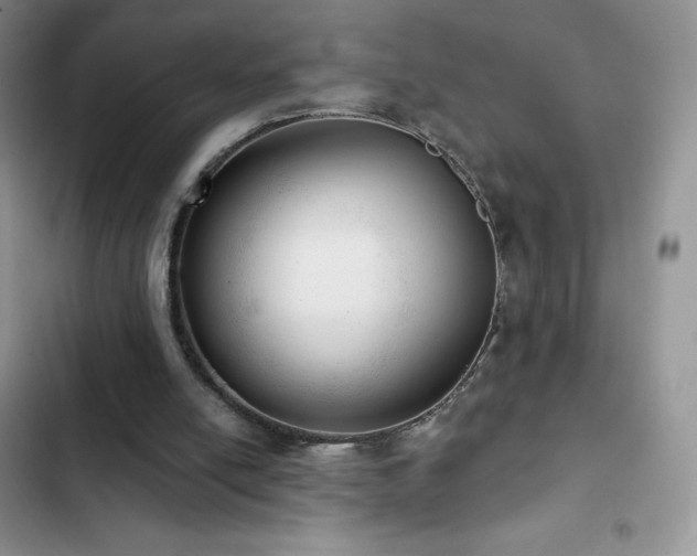 X0000102870054200808181515