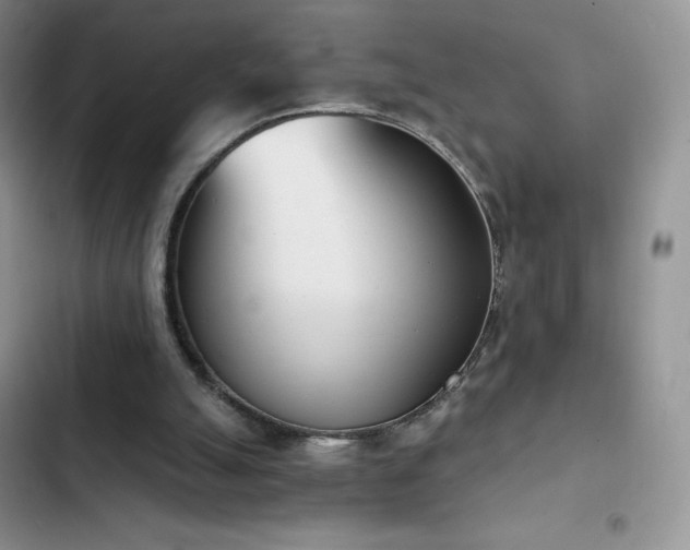 X0000102870055200808181515