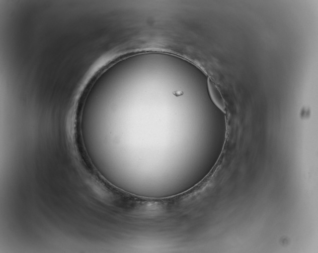 X0000102870056200808181515
