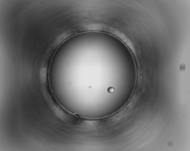 X0000102870057200808181515