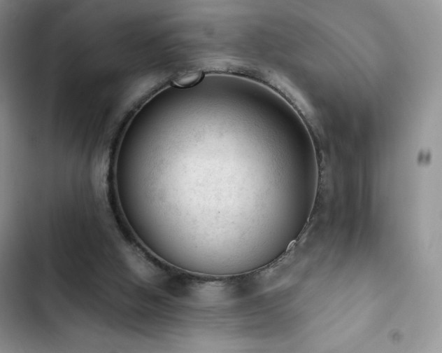 X0000102870058200808181515