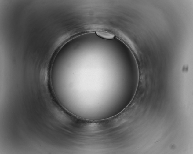 X0000102870059200808181515