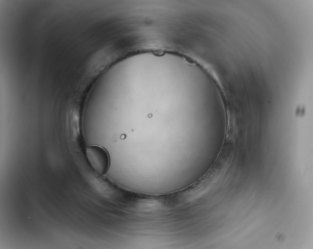 X0000102870061200808181515