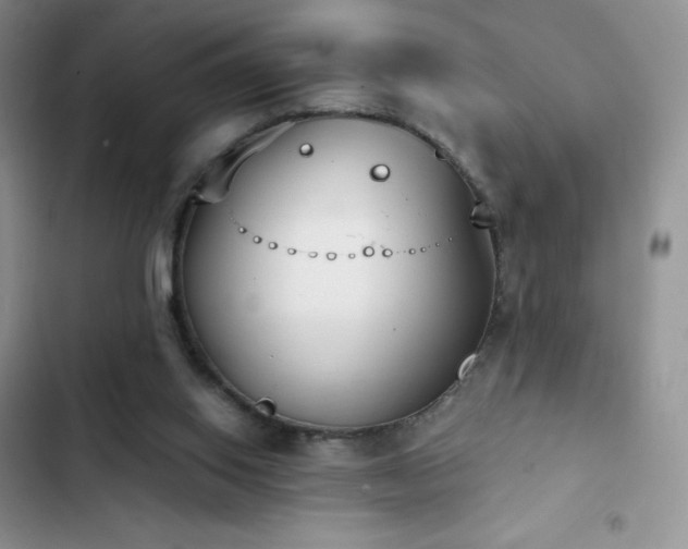 X0000102870062200808181515