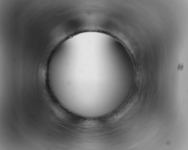 X0000102870063200808181515