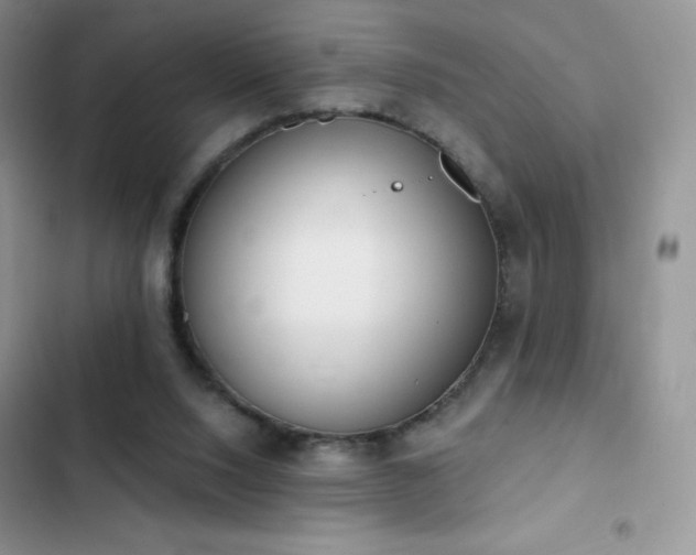 X0000102870064200808181515