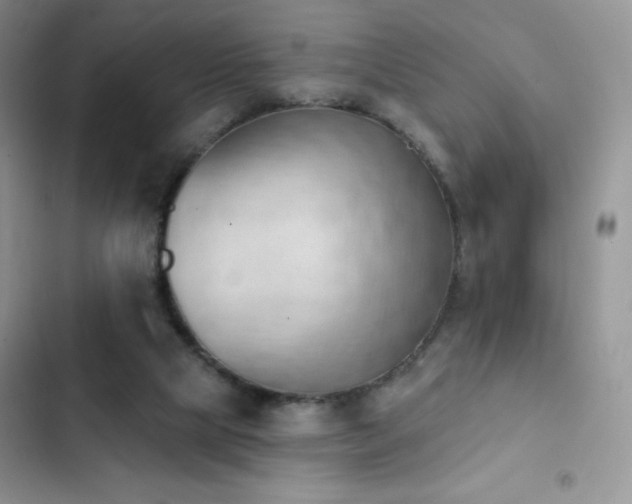 X0000102870065200808181515