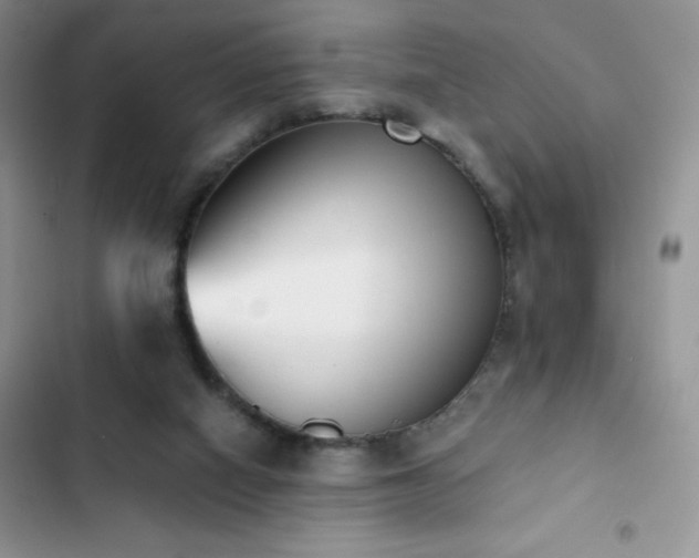 X0000102870066200808181515