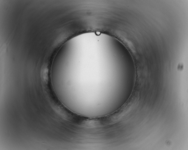 X0000102870067200808181515