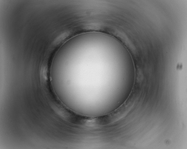 X0000102870068200808181515