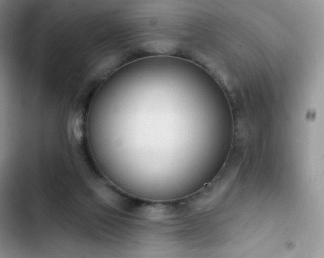 X0000102870069200808181515