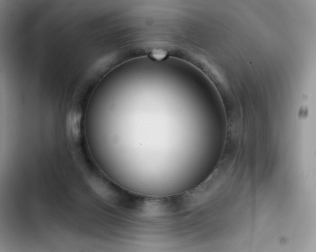 X0000102870070200808181516