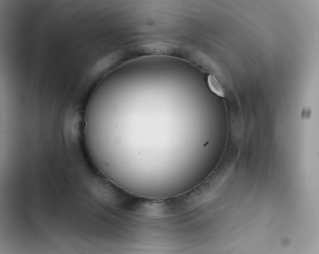 X0000102870071200808181516