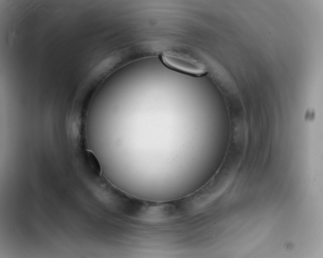X0000102870072200808181516