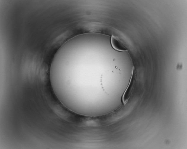 X0000102870073200808181516