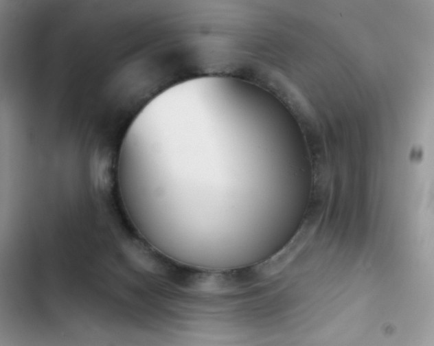 X0000102870074200808181516