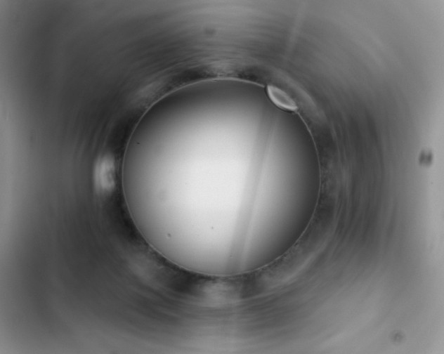 X0000102870075200808181516