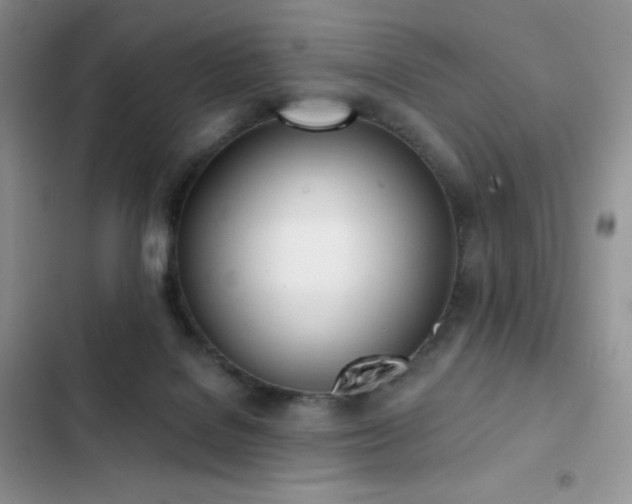 X0000102870076200808181516