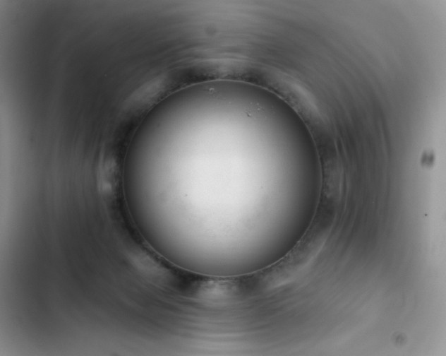 X0000102870077200808181516