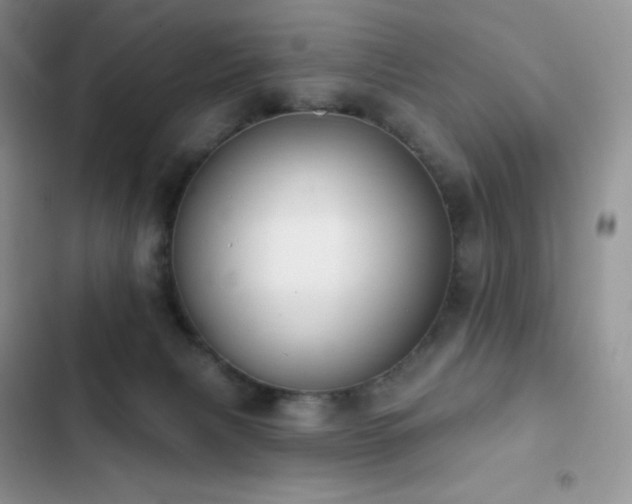 X0000102870079200808181516