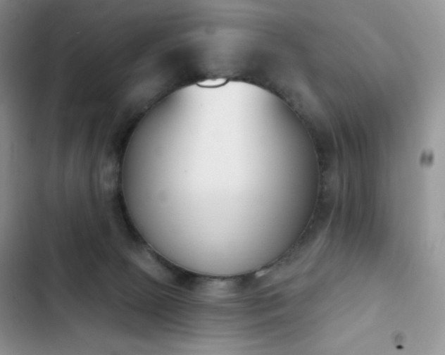 X0000102870081200808181516