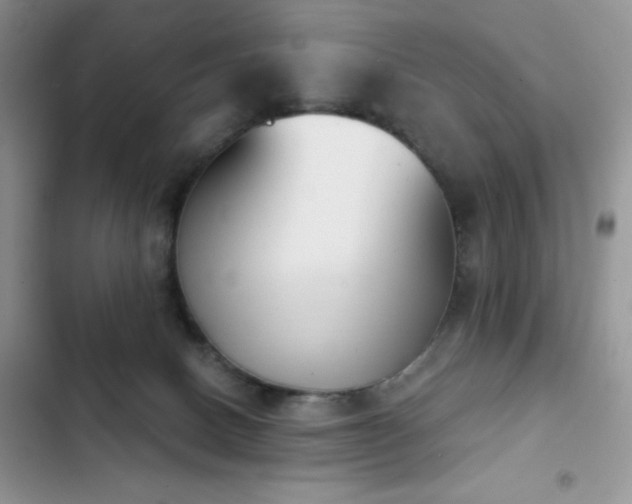 X0000102870082200808181516