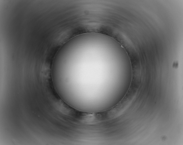 X0000102870083200808181516