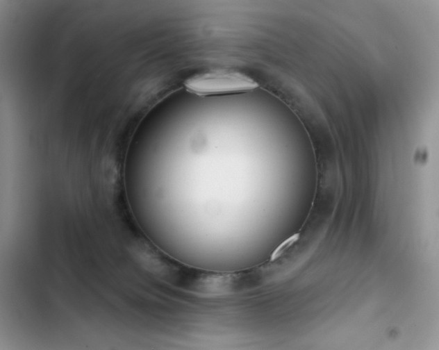 X0000102870084200808181516