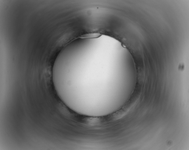 X0000102870085200808181516