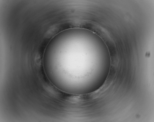 X0000102870086200808181516