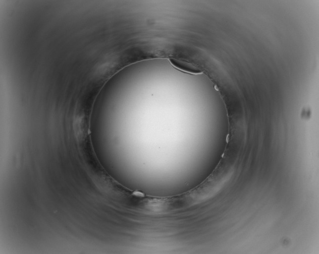 X0000102870088200808181516