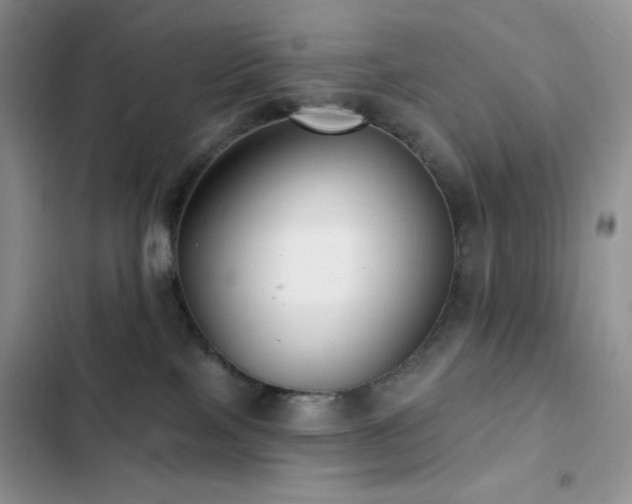 X0000102870089200808181516