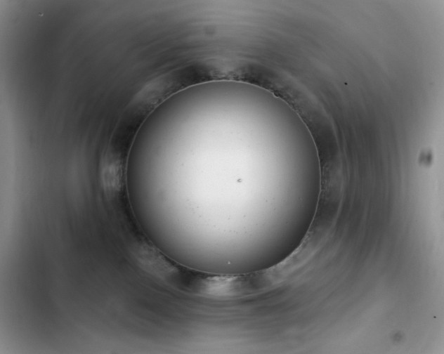 X0000102870090200808181516