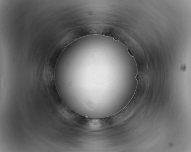 X0000102870091200808181516