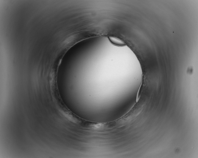 X0000102870092200808181516
