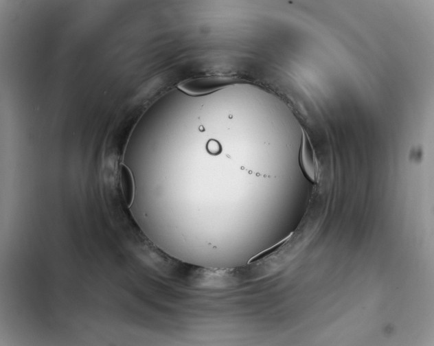 X0000102870093200808181516