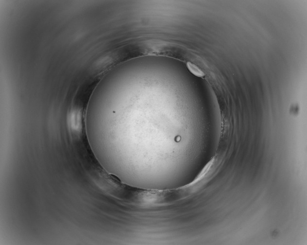 X0000102870094200808181516