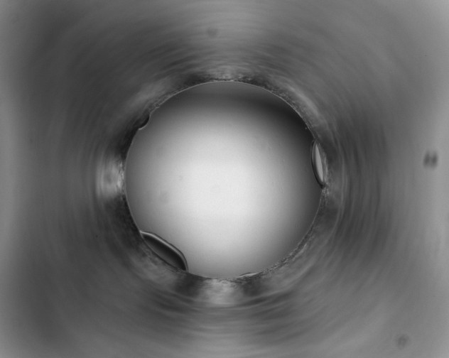 X0000102870095200808181516