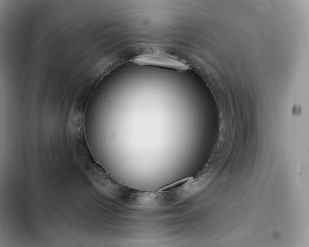 X0000102870096200808181516